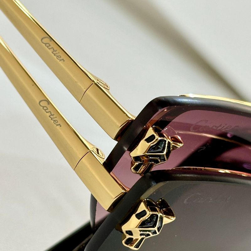 Cartier Sunglasses