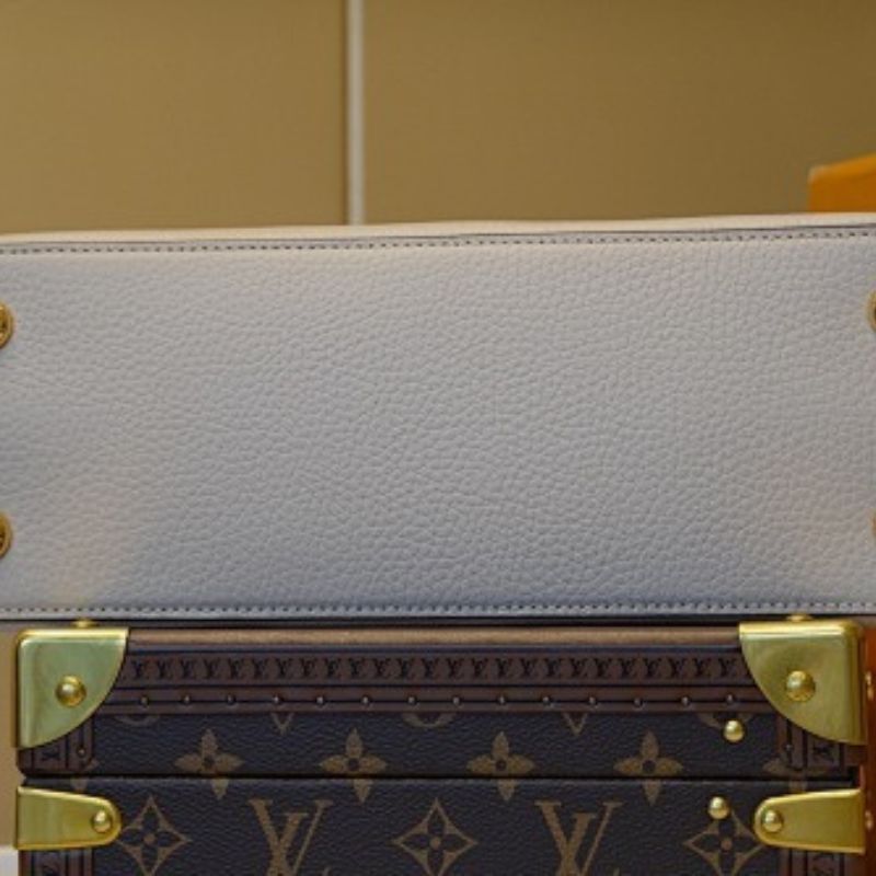 Louis Vuitton Capucines handbag