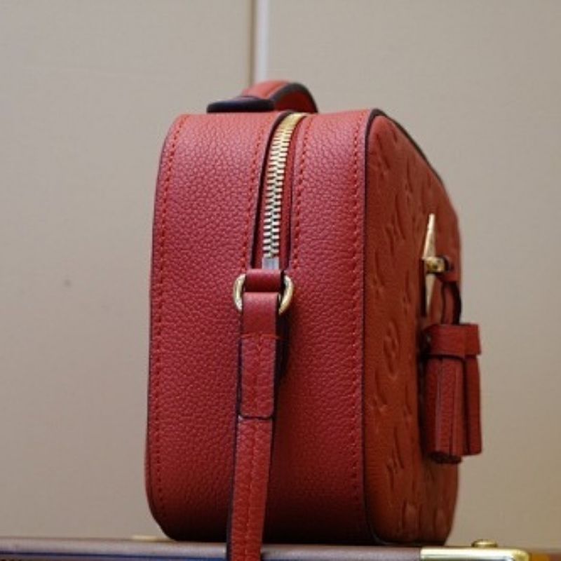 Louis Vuitton Saintonge handbag,chic camera-style bag