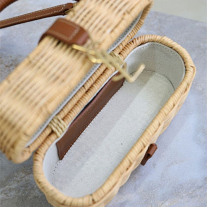 Saint Laurent Gaby Vanity Bag