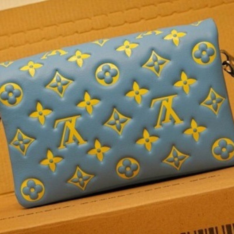 Louis Vuitton Pochette Coussin
