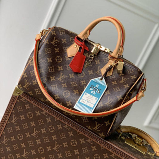 Louis Vuitton Speedy Soft 30 Crafty in Monogram Canvas