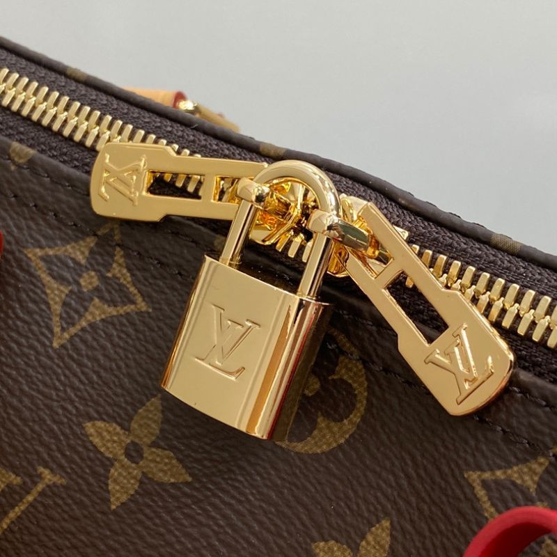 LV Speedy Soft 30 Dark Bag