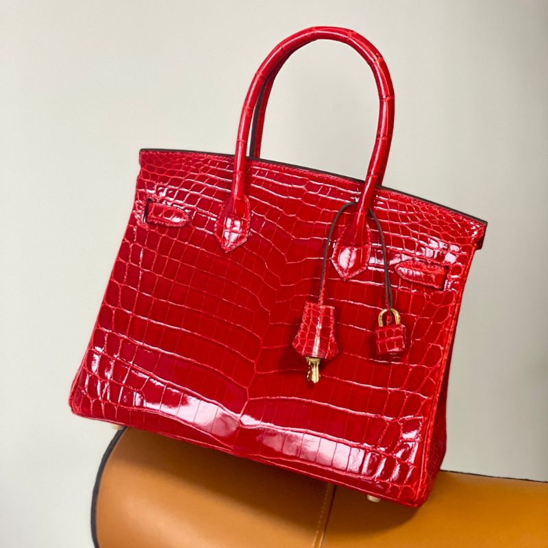 Hermes Birkin 25 Braise Porosus Crocodile Bag