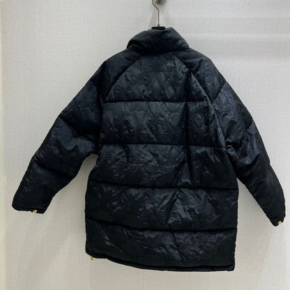 Celine Autumn Winter New Down Jacket