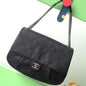 Chanel Medieval Elegance Chain Shoulder Bag