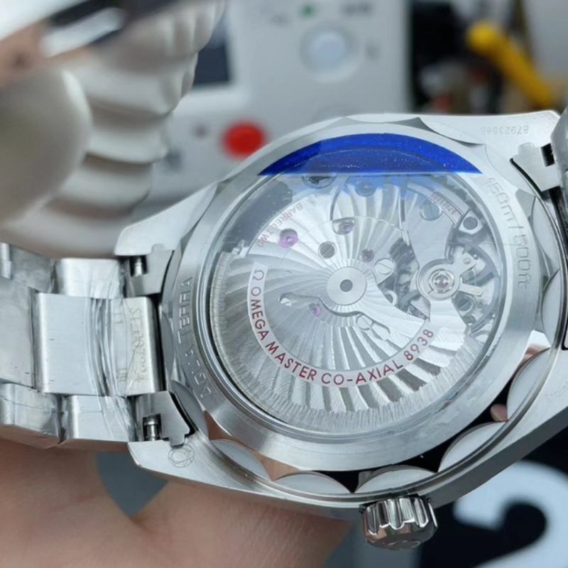 Omega Hippocampus Watch