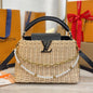 LV Capucines Mini Luxury Handbag